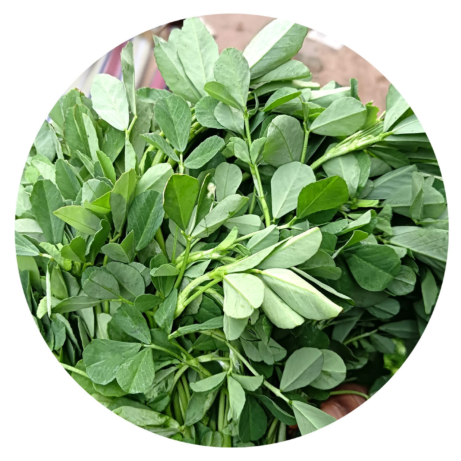 Methi Saag 100g pack