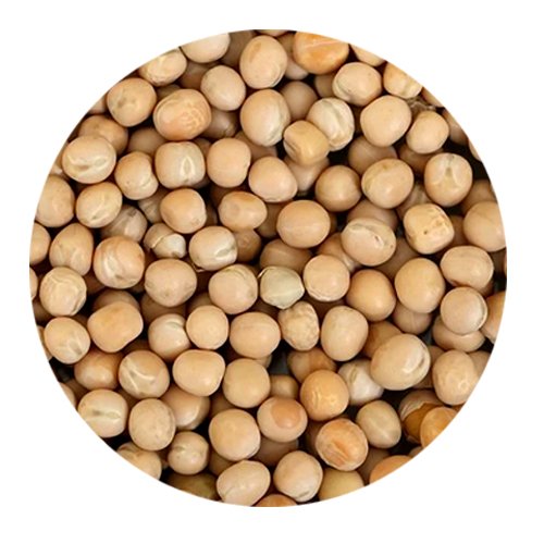 Motor integral 100g Pack