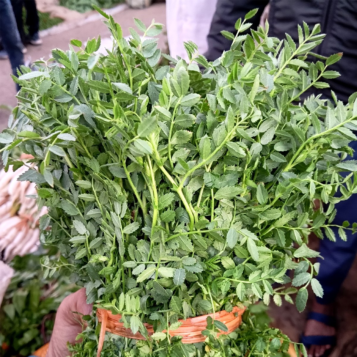 Cholar Saag 100g pack