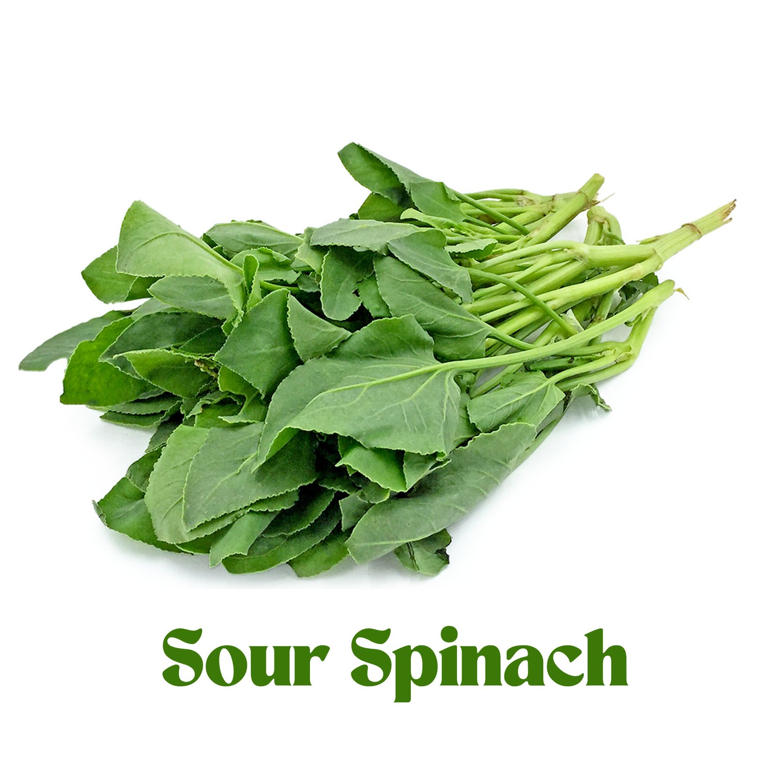 Sour Spinech (Tok Palank) 100g pack