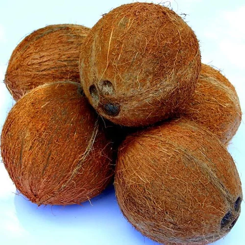 Coconut