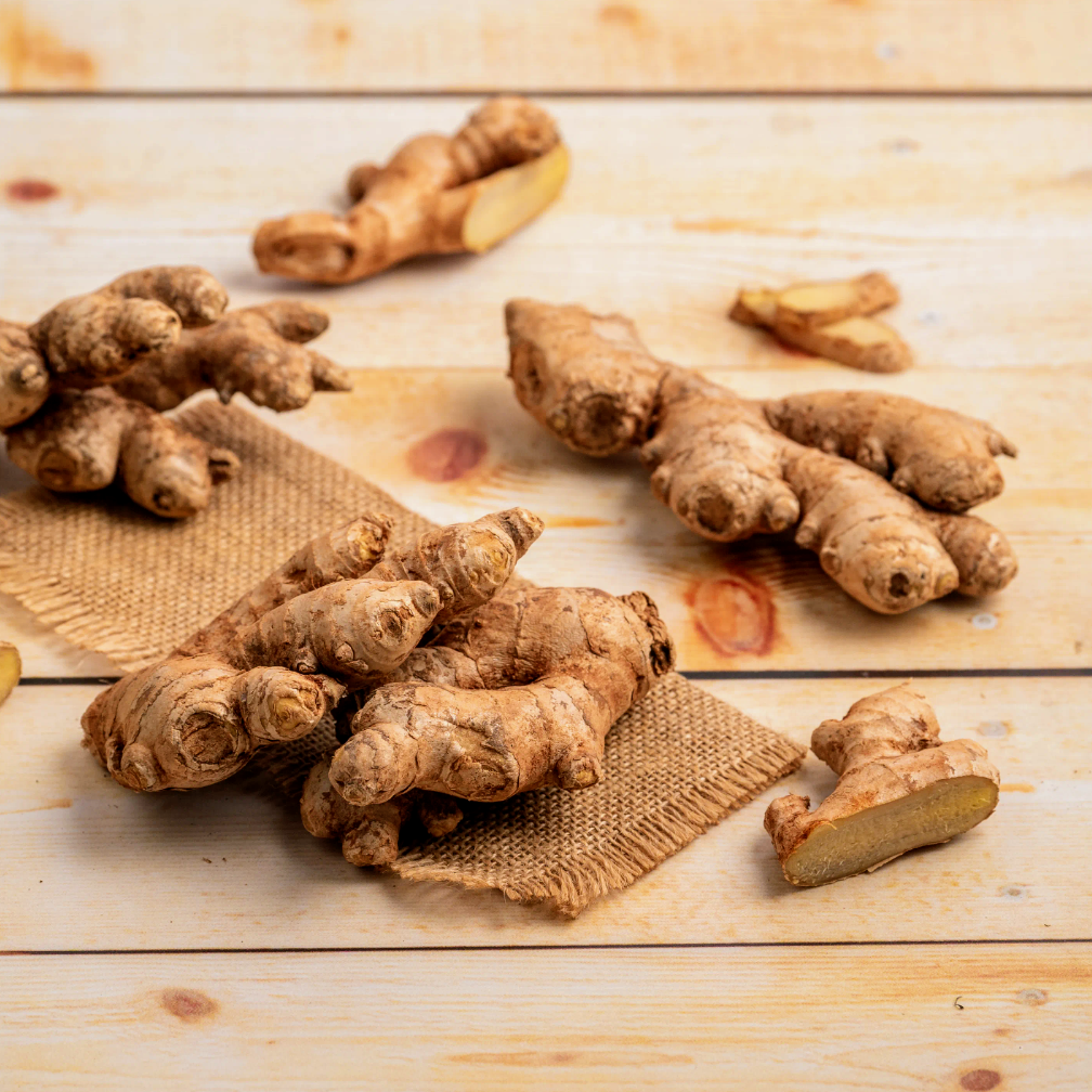 Ginger (Ada)