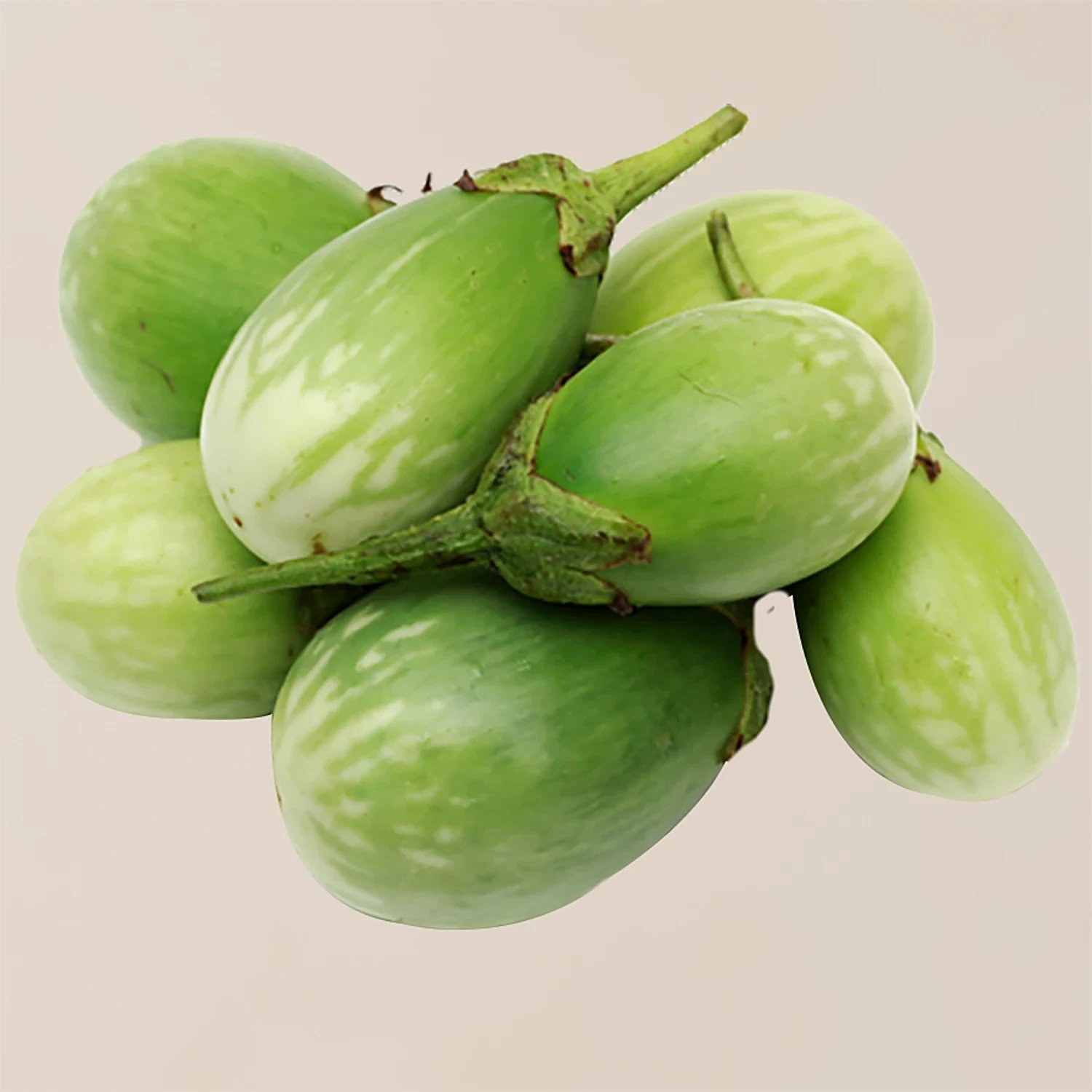 Brinjal (Begun)