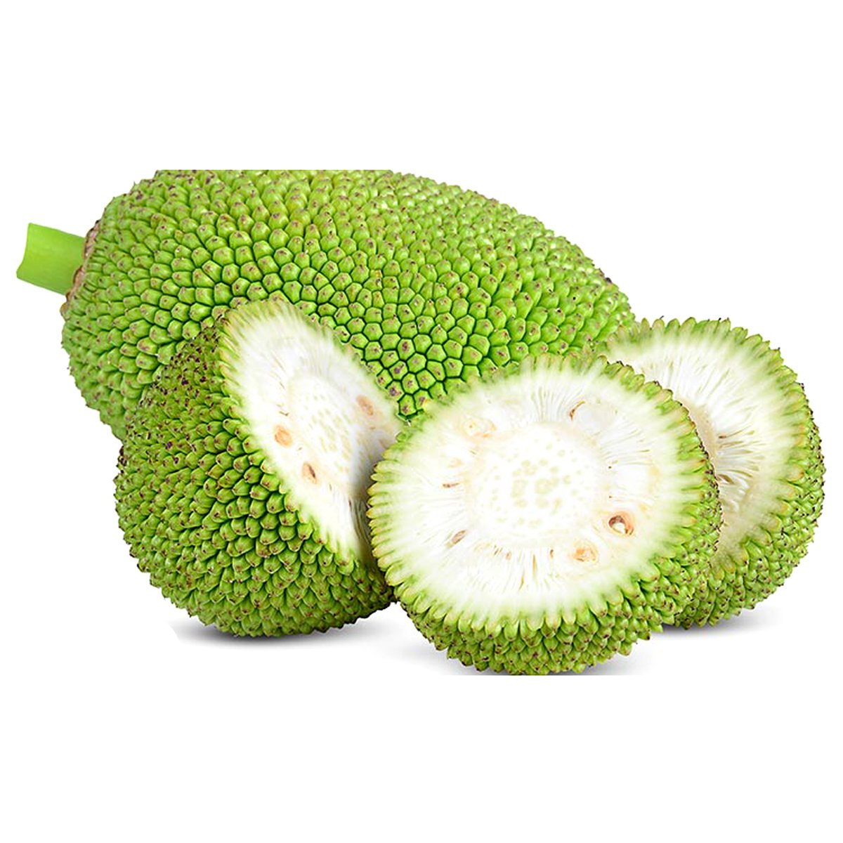 Jackfruit (Kanthal)